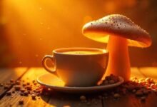 Ryze Mushroom Coffee